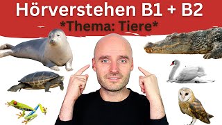 TESTE dein Niveau  Hörverstehen B1  B2 [upl. by Pulsifer777]