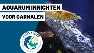 Aquarium inrichten voor garnalen [upl. by Maice]