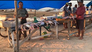 PORTO DOS MILAGRES NA SECACALDEIRADA NO ALMOÇOMERCADO DE PEIXESSANTARÉMPARÁ [upl. by Winnah780]