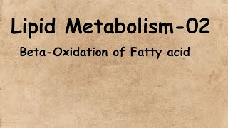 Lipid Metabolism02BetaOxidation of Fatty AcidBSc 3rd YearLife Science Classes [upl. by Leo]