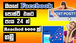 How To Facebook Post Boosting Sinhala  Themasterlk [upl. by Caril763]