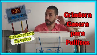 🛠️ Como HACER una criadora de pollos casera con termostato XHW3002 2020 [upl. by Lorrimor]