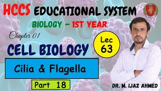 Cilia and Flagella  Structures  Part 18 Chapter 1  1ST YEAR  Dr IJAZ  LEC63 [upl. by Gad]