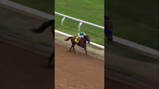 Flightline OBLITERATES the Breeders Cup Classic😲🔥 [upl. by Lyrahs]