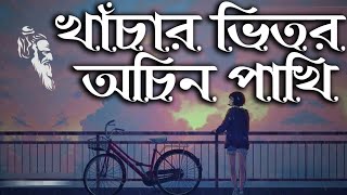 Khachar Vitor Ochin Pakhi lyrics by Konok Chapa of Lalon Shah [upl. by Akinajnat]