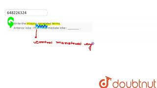 Write the missing correlated terms Anterior lobe  FSH  Intermediate lobe     CLA [upl. by Sunday]