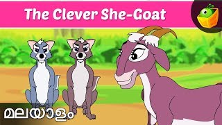 സൂത്രശാലിയായ ആട്  Clever She Goat  Jataka Tales  Magicbox Malayalam [upl. by Almap]