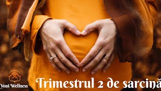 S1Ep29 Trimestrul 2 de sarcină  Creşterea uterului  Primele mişcări fetale  Patologii de trim 2 [upl. by Elery]