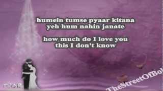 Humein Tumse Pyar Kitna  With Lyrics amp Translation  Lovers Choice [upl. by Assiron]