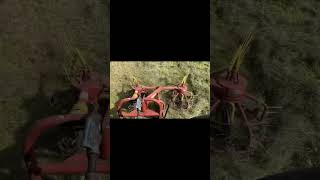 Getting haylage done before the bad forecast farming agriculture machinery ford8630 baleready [upl. by Abbie]