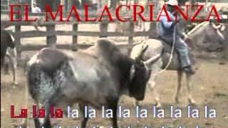 karaoke El toro y la luna Homenaje al malacrianzampg [upl. by Antebi]