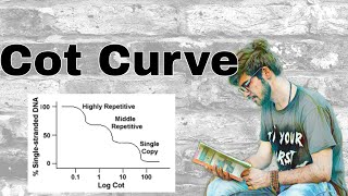 Cot Curve [upl. by Egamlat]