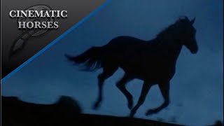 Cinematic Horses [upl. by Strong]