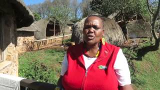 Thoko Jili Tour of Phezulu cultural village May 18 2017 [upl. by Nylla174]