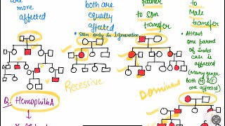 100 question from Pedigree analysis in norcet  important  norcetstrategy norcetpreparation [upl. by Chickie]