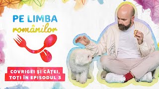 Pe Limba Românilor  Episodul 3 [upl. by Nnelg]