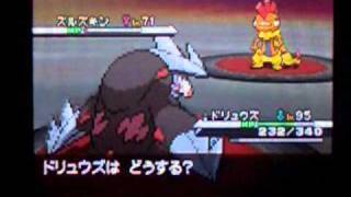 ポケモンブラックホワイト vs四天王ギーマ強化 Pokemon Black White Rematch Elite Four Grimsley [upl. by Jami267]