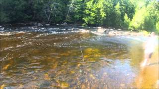 peshtigo river fishing in wisconsin [upl. by Prunella]