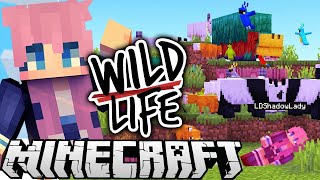 The WORST Best Day Ever  Ep 6  Wild Life [upl. by Hterag]