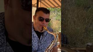 Sax Sessions Grazing in the Grass Hugh Masekela Saxophone Cover [upl. by Notla413]