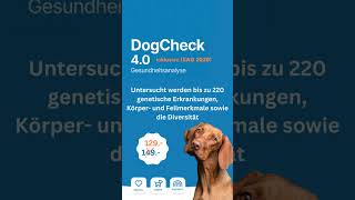 Dogcheck Aktion mit ISAG2020 [upl. by Lehcsreh567]