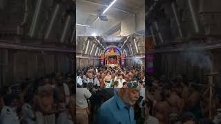 thiruchendur murugan temple live today surasamharam  surasamharam thiruchendur surasamharam [upl. by Airliah]