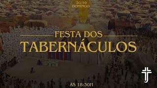 FESTA DAS TROMBETAS [upl. by Raddi]