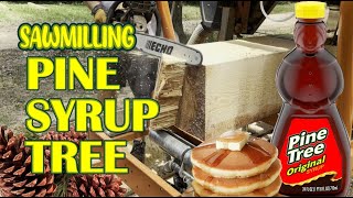 Sawmilling The Worlds Sappiest Pine [upl. by Quitt]