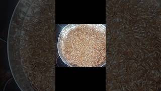 Flax seeds health benefits👌ஆளி விதை health benefits shortsvideoseeds [upl. by Eanahs]