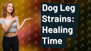 How long does a dog leg strain take to heal [upl. by Ennair486]