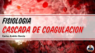 Fisiología  Hemostasia Espasmo Tapón Plaquetario Cascada de Coagulación [upl. by Essyla]