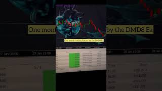 One month trading history with the DMD8 forex forextradingstrategies forextradingin2024 [upl. by Fons539]