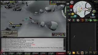 wintertodt solo testing [upl. by Ruon938]