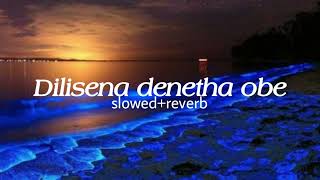 Dilisena denetha obe slowedreverb [upl. by Ulane]