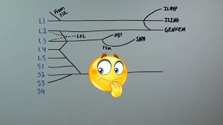 Learn to Draw the Lumbosacral Plexus Abridged [upl. by Enella]