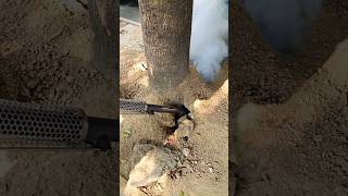 Thermal Fogging Machine All Insects Came Out [upl. by Etiam605]