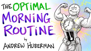 The Optimal Morning Routine  Andrew Huberman [upl. by Neerom805]