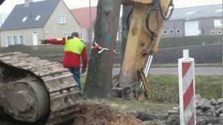 bomen aan de Vaartweg [upl. by Nauqas]