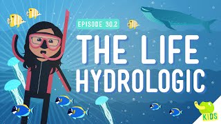 The Life Hydrologic Crash Course Kids 302 [upl. by Richter369]