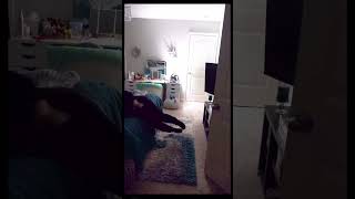 Mom pass out from prank funny scaredprank funnyprank comedy [upl. by Crisey]