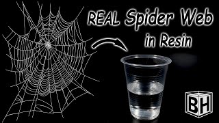 Casting a REAL Spider Web in resin…can it be done [upl. by Annaierb]