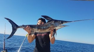 Pesce spada a drifting Ostia Fiumicino [upl. by Ainivad478]