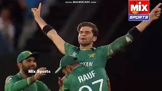 Pakistan VS Australia SemiFinal T20 World Cup 2021 Highlights cricket pakistan australia sports [upl. by Eibloc]