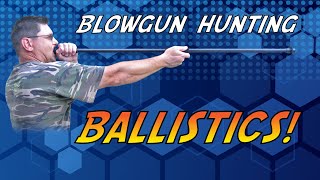 Blowgun Hunting Ballistics [upl. by Neltiak841]