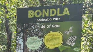 BONDLA ZOO GOA 🦢🐓🐖🦤🐎🐈‍⬛🐄 [upl. by Ardried537]