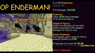 Hypixel Skyblock FASTEST Way to Get Legendary Enderman Pet [upl. by Emarie188]