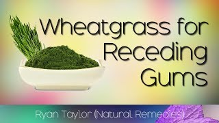 Natural Treatment for Receding Gums Wheatgrass [upl. by Terpstra415]