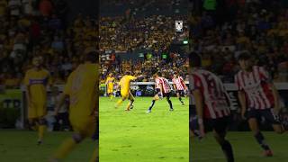 ☄️ El golazo de Gignac y 212 con Tigres [upl. by Monika]