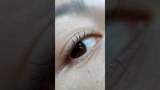 Bottom lash lift lashes lashlift [upl. by Eelah]