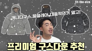 안 사도 알아두면 좋은 quot느낌있는quot 명품 구스다운amp덕다운 추천 [upl. by Ynaitirb]